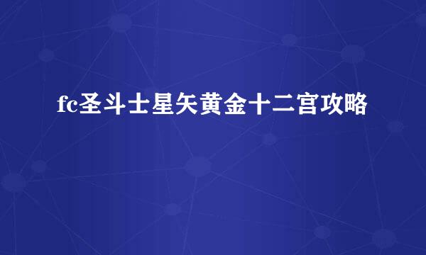 fc圣斗士星矢黄金十二宫攻略