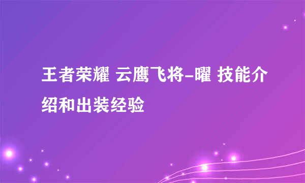 王者荣耀 云鹰飞将-曜 技能介绍和出装经验