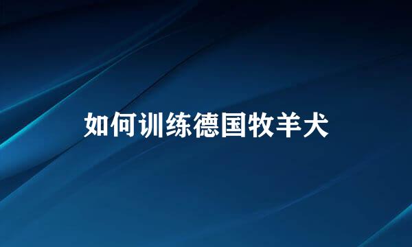 如何训练德国牧羊犬