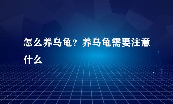 怎么养乌龟?养乌龟需要注意什么