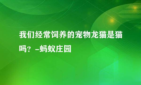 我们经常饲养的宠物龙猫是猫吗？-蚂蚁庄园