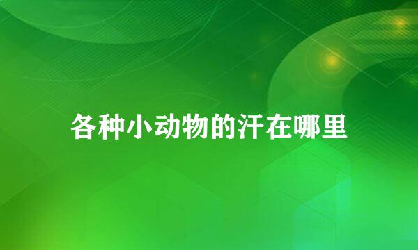 各种小动物的汗在哪里