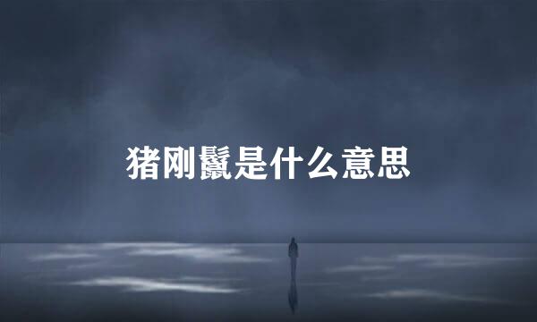 猪刚鬣是什么意思