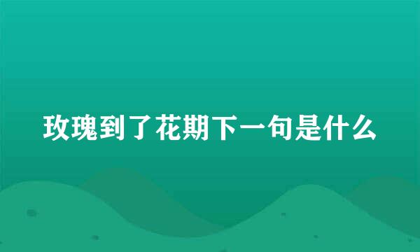 玫瑰到了花期下一句是什么