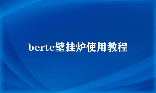 berte壁挂炉使用教程