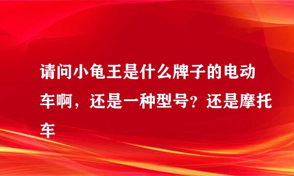 请问小龟王是什么牌子的电动车啊,还是一种型号?还是摩托车