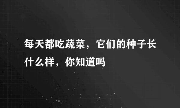 每天都吃蔬菜,它们的种子长什么样,你知道吗