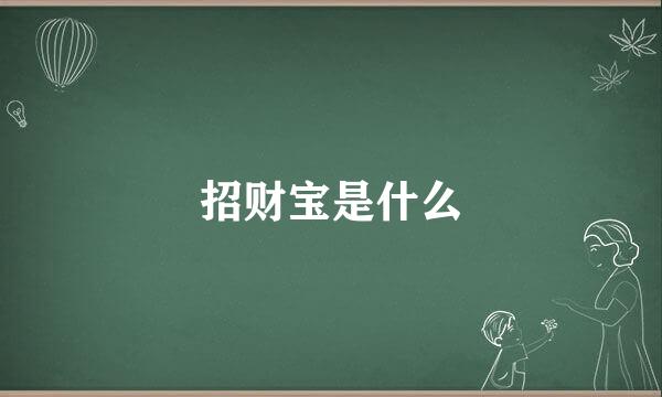 招财宝是什么