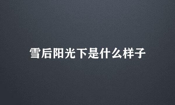 雪后阳光下是什么样子