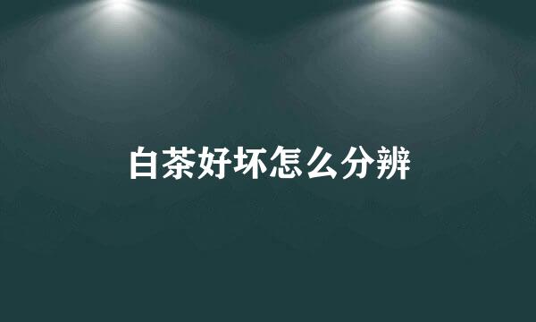 白茶好坏怎么分辨