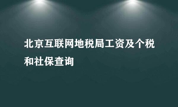 北京互联网地税局工资及个税和社保查询