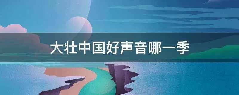 大壮中国好声音哪一季