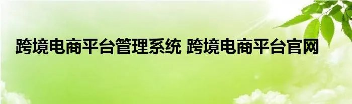 跨境电商平台管理系统 跨境电商平台官网
