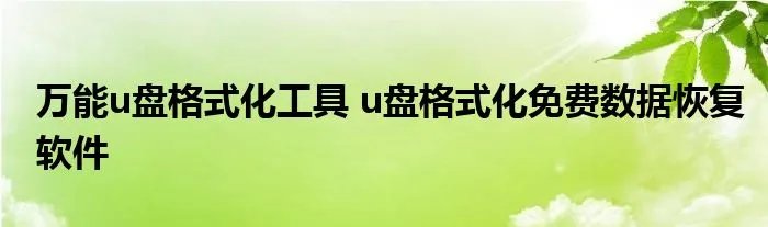 万能u盘格式化工具 u盘格式化免费数据恢复软件