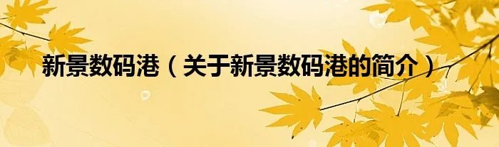 新景数码港（关于新景数码港的简介）