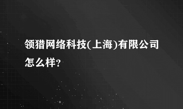 领猎网络科技(上海)有限公司怎么样?