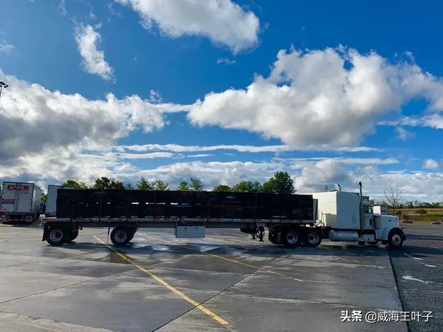 房车旅行可以带猫吗?为什么?