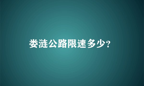 娄涟公路限速多少？