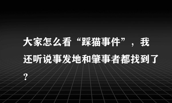 大家怎么看“踩猫事件”，我还听说事发地和肇事者都找到了？