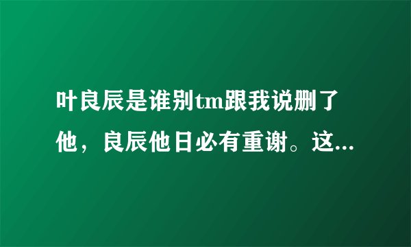 叶良辰是谁别tm跟我说删了他，良辰他日必有重谢。这个人出自哪里。具体点