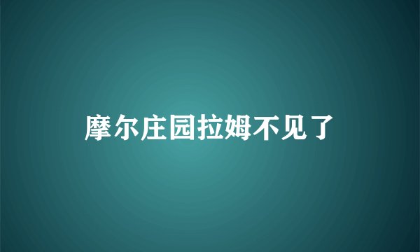 摩尔庄园拉姆不见了