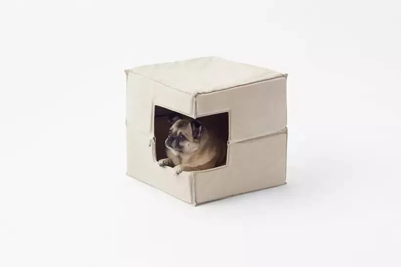 Nendo 3月新品-宠物狗用品系列