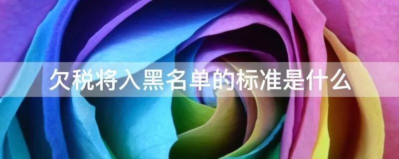 欠税将入黑名单的标准是什么