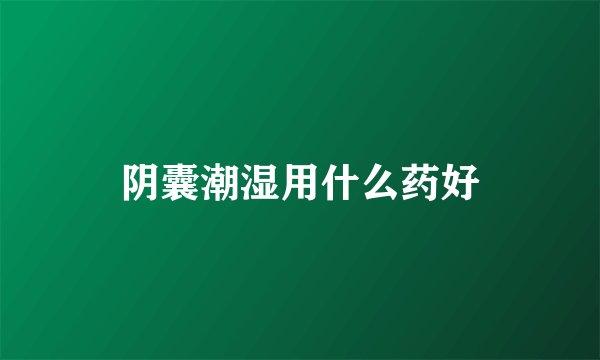 阴囊潮湿用什么药好