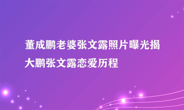 董成鹏老婆张文露照片曝光揭大鹏张文露恋爱历程