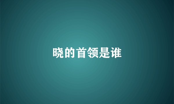 晓的首领是谁