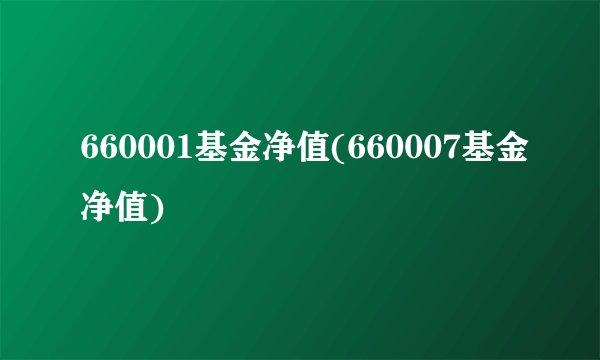 660001基金净值(660007基金净值)