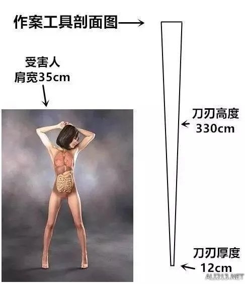真正的大宝剑!女子持40米长刀砍人 真相令人细思恐极