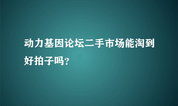 动力基因论坛二手市场能淘到好拍子吗？