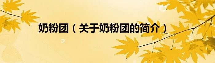 奶粉团（关于奶粉团的简介）