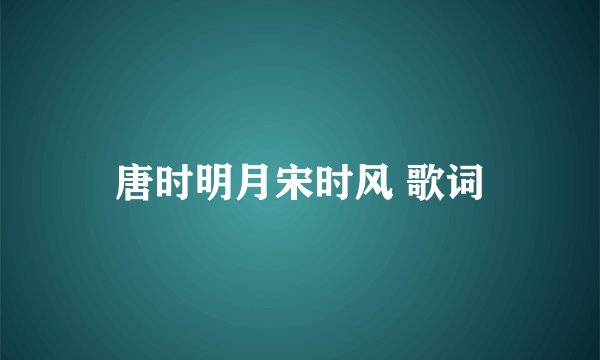 唐时明月宋时风 歌词