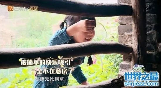 小山竹的真名叫什么,素人萌娃纪美伊萌翻众人