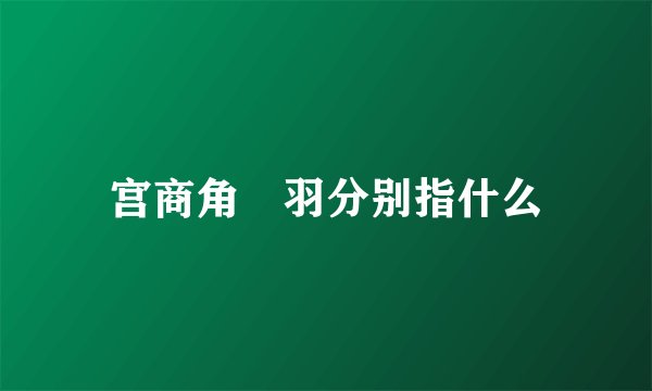 宫商角徴羽分别指什么