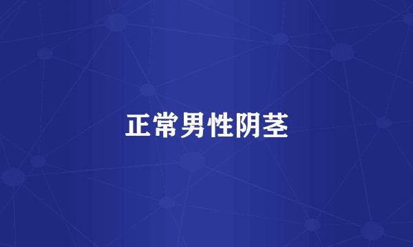正常男性阴茎