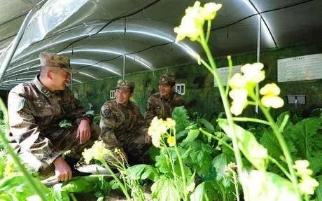 非洲吉布提的荒漠里种出了大西瓜，中国解放军功不可没