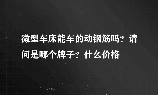 微型车床能车的动钢筋吗？请问是哪个牌子？什么价格