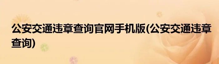 公安交通违章查询官网手机版(公安交通违章查询)