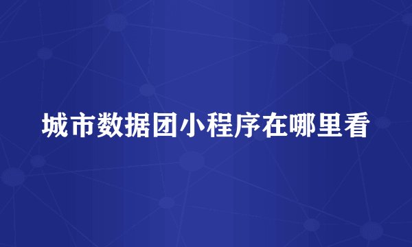 城市数据团小程序在哪里看