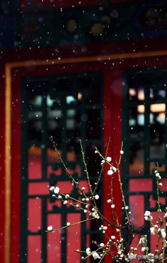 冬天旅游都需要带什么?
