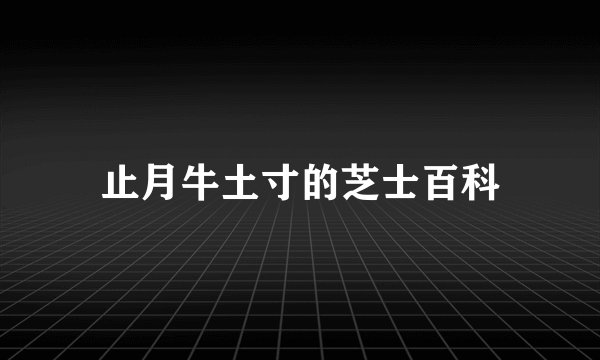 止月牛土寸的芝士百科