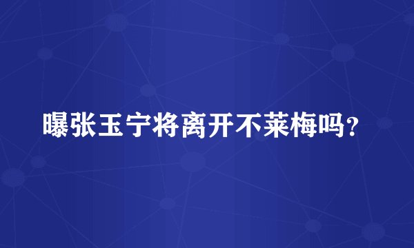 曝张玉宁将离开不莱梅吗?