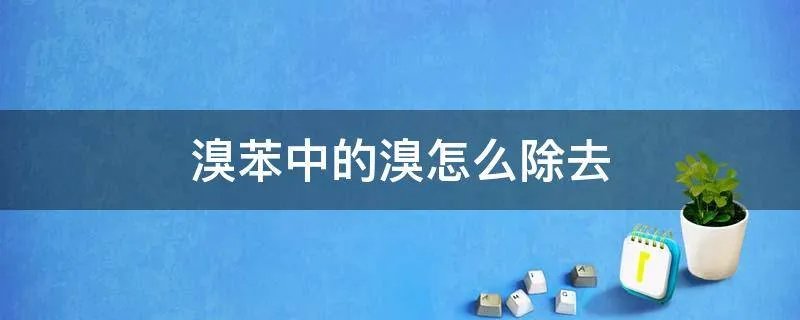 溴苯中的溴怎么除去