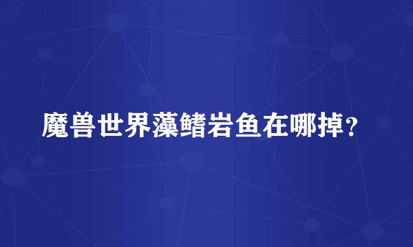 魔兽世界藻鳍岩鱼在哪掉？