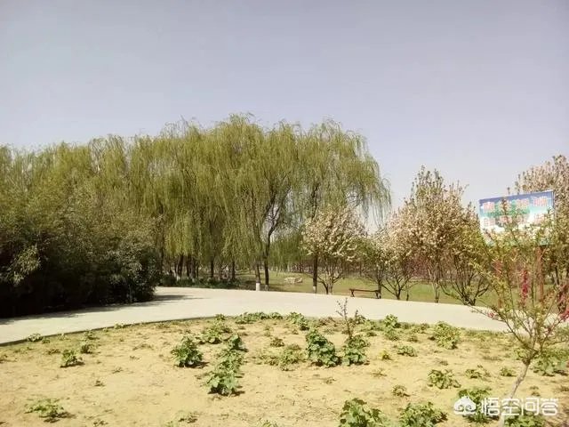打官司二审都败诉了，法官说律师写错诉状了，该怎么办？