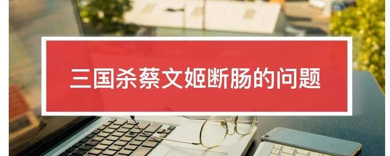 三国杀蔡文姬断肠的问题
