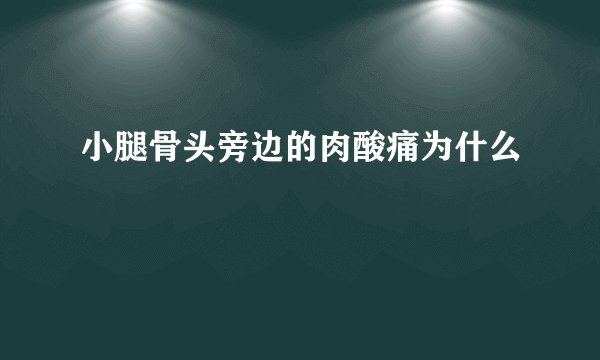 小腿骨头旁边的肉酸痛为什么